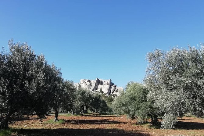 Saint Remy, Les Baux and Pont du Gard Small Group Half-Day Trip - Who Should Book This Tour (And Who Might Skip It)