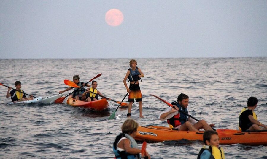 Saint-Tropez: Kayak Experience in Ramatuelle Reserve - What you’ll actually get during the 3 hours