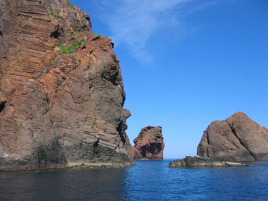 Scandola: Visit the Nature Reserve from Porto (France) - Key reasons this boat trip works so well