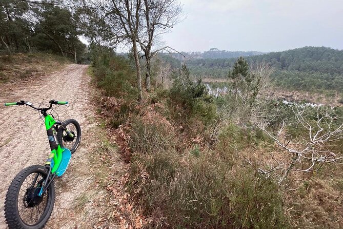 Seignosse electric scooter excursion - Why Seignosse on electric fat scooters feels different