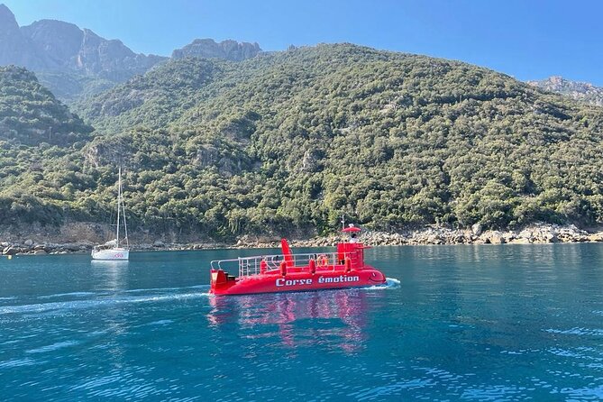 Semi-submarine: visit to the seabed of Porto Bay - Key things you should notice before you go