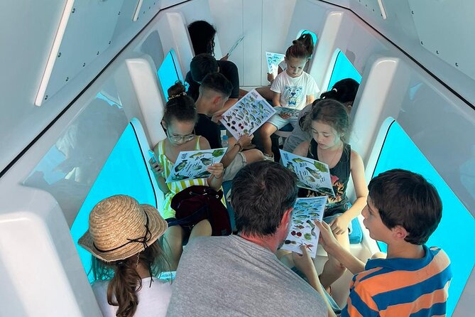 Semi-submarine: visit to the seabed of Porto Bay - The captain’s commentary: turning a window view into understanding