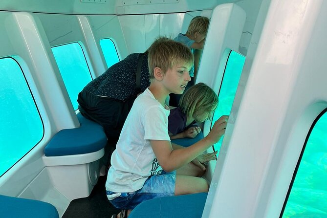 Semi-submarine: visit to the seabed of Porto Bay - Weather requirement: plan like a local