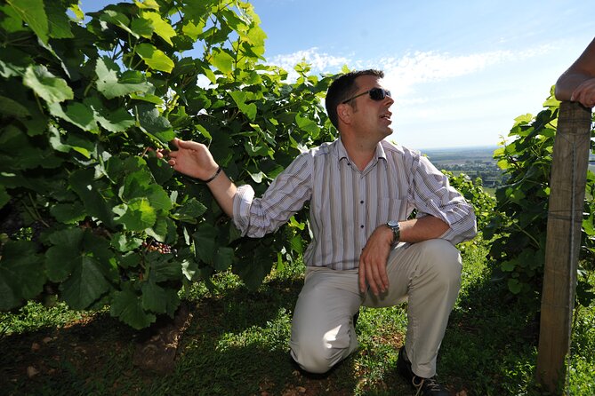 Small group Burgundy tour of Beaune with Wine Tasting from Dijon - Beaune Free Time: What One Hour Can and Cannot Do