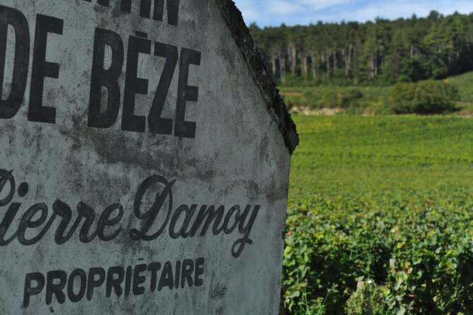 Small group Burgundy tour of Beaune with Wine Tasting from Dijon - Who This Burgundy Tour Is Best For