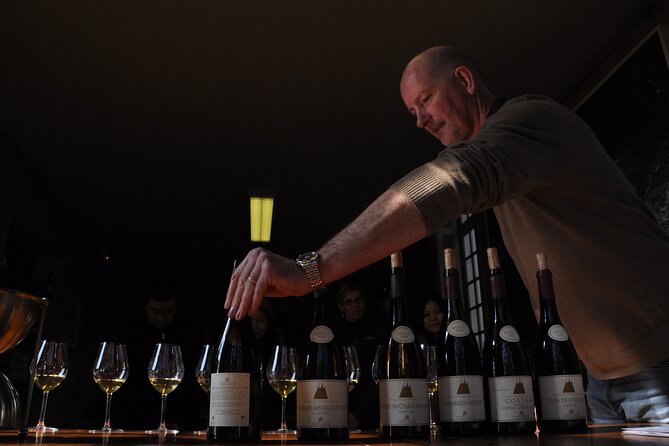 Small group Burgundy tour of Beaune with Wine Tasting from Dijon - Wine Tasting That Teaches You How to Taste Pinot