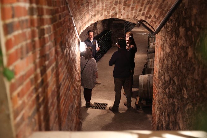 Small Group - Full Day Champagne Tour 3 Small Champagne Growers - Price and Value at About $290 Per Person: When It’s a Smart Buy