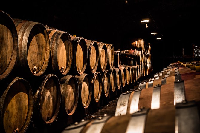 Small-Group Full-Day Tour of Côte de Nuits, Côte de Beaune Vineyards and Beaune Historical District - Key Highlights You’ll Care About