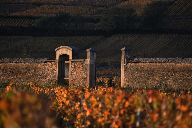 Small-Group Full-Day Tour of Côte de Nuits, Côte de Beaune Vineyards and Beaune Historical District - What You Actually Taste, and Why It Matters