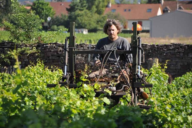 Small-Group Full-Day Tour of Côte de Nuits, Côte de Beaune Vineyards and Beaune Historical District - Small-Group Size: The Difference Between a Tour and a Teaching Session