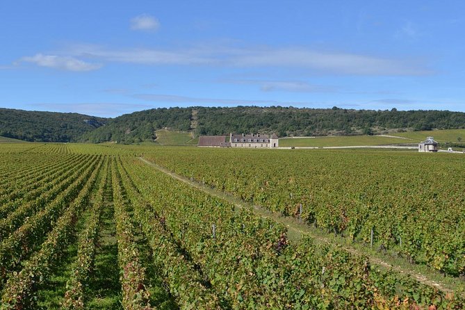 Small-Group Full-Day Tour of Côte de Nuits, Côte de Beaune Vineyards and Beaune Historical District - The Dijon Meet-Up, Then Straight Into Vineyard Country
