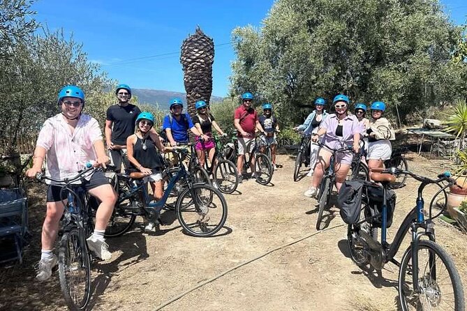 Small Group Guided E-bike Tour in Nice's Organic Vineyard - The “why” behind this Nice e-bike wine day
