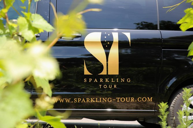 Small Group - Half Day Champagne Tour - Visit of 2 Small Producers/Growers - Two family producers and six tastings that teach you what to notice