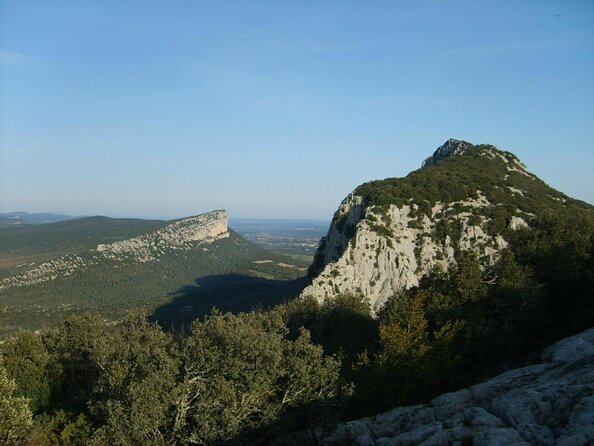 Small-Group Half-Day Languedoc Pic Saint-Loup Wine Tour from Montpellier - Key things you’ll notice on this tour