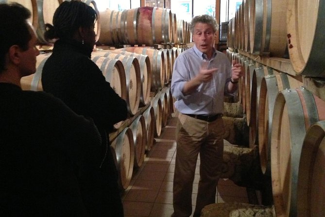 Small-Group Half-Day Languedoc Wine and Olive Tour from Montpellier - Traditional wine estate: production basics plus tastings you can compare