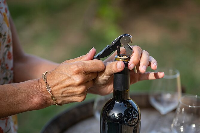 Small-Group Half-Day Languedoc Wine and Olive Tour from Montpellier - Price and value: what you’re paying for at $95.18