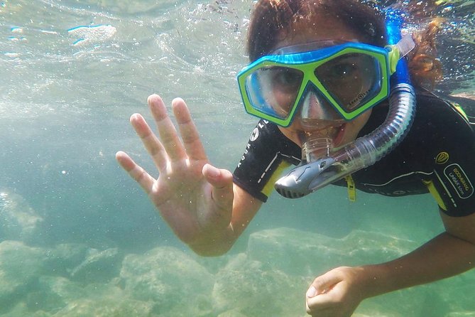 Snorkeling - By boat on site in the Bay of Cannes or Estérel - Once you’re in the water: how the snorkeling time works