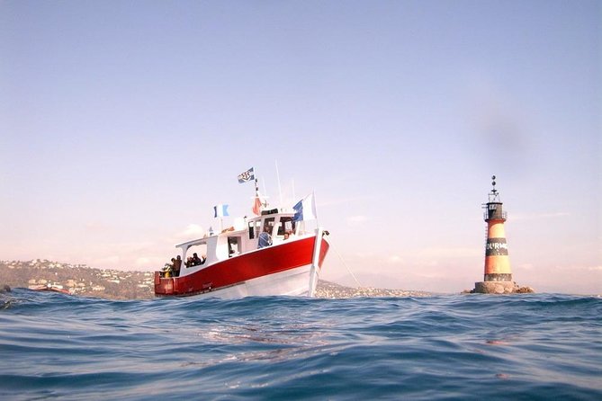 Snorkeling - By boat on site in the Bay of Cannes or Estérel - Who should book this, and who should skip it