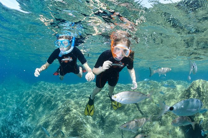 Snorkeling - By boat on site in the Bay of Cannes or Estérel - The boat ride to Estérel or the Lérins Islands