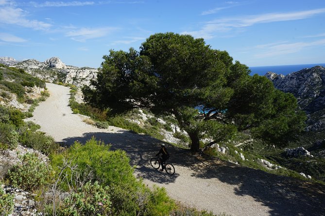 Sormiou Calanques National Park Electric Bike Tour from Marseille - E-bike reality check: not fully electric, but assist makes the climbs doable