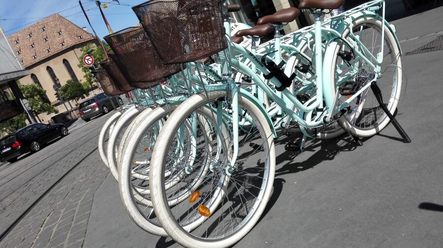 Strasbourg: 1-Day Bike Rental - Strasbourg by bike: why this works for a tight day