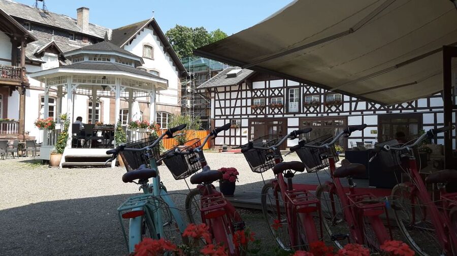 Strasbourg: 1-Day Bike Rental - A self-guided ride that hits Strasbourg’s top zones
