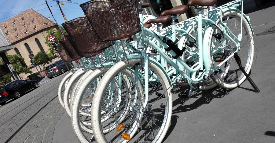 Strasbourg: 1-Day Bike Rental - Price and value: $29 is only good if you use it right