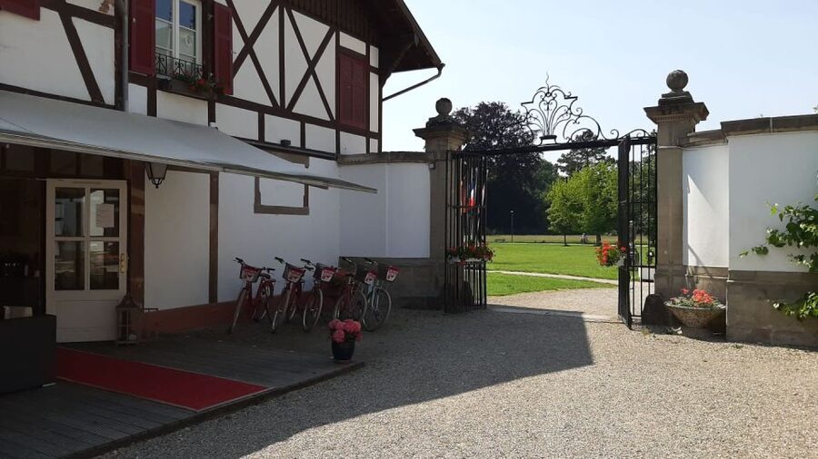 Strasbourg: 1-Day Bike Rental - What you actually get at the shop (and why it matters)