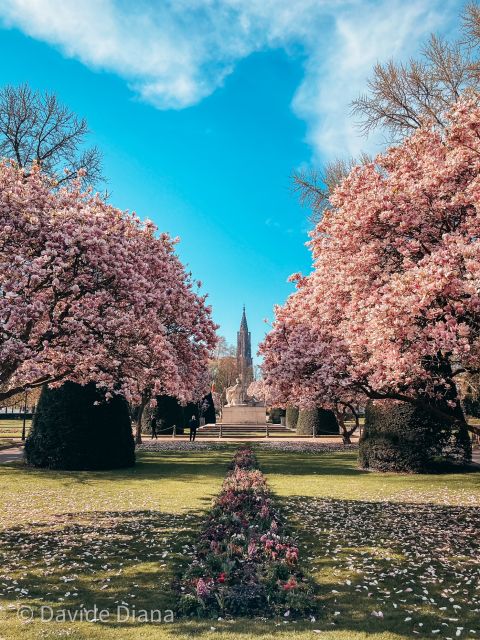 Strasbourg: Guided Historical Neighborhoods Walking Tour - Neustadt and Place Broglie, the city’s more formal side