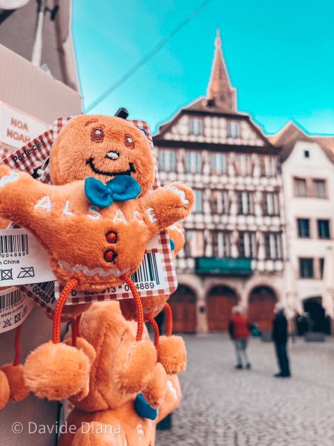 Strasbourg: Guided Historical Neighborhoods Walking Tour - Petite France: half-timbered streets you will actually remember