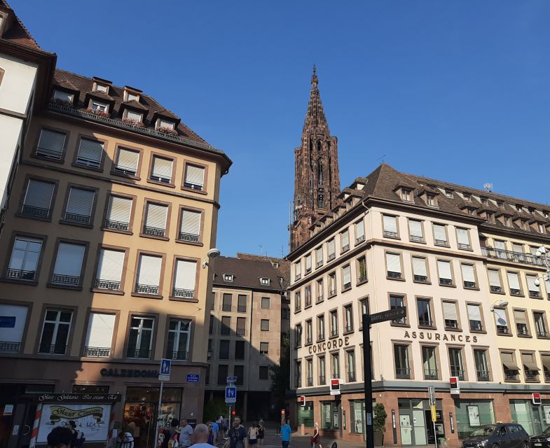 Strasbourg: Guided Walking Tour - Barrage Vauban: your best mix of defense design and photo angles
