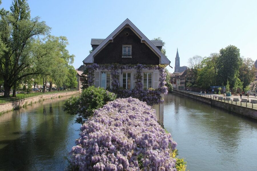 Strasbourg: Walking Tour with Local Guide - A 2-Hour Walk That Gives You Strasbourg Bearings Fast