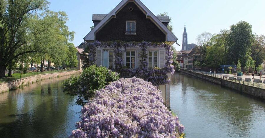 Strasbourg: Walking Tour with Local Guide - Ponts Couverts and Petite France: Defensive Walls Turn Into Photo Magic