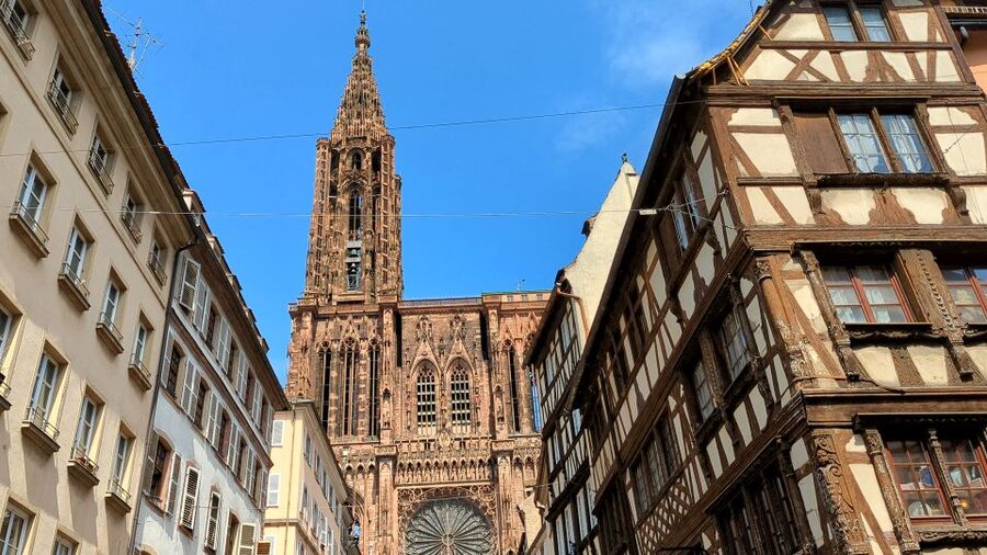 Strasbourg: Walking Tour with Local Guide - Tonneliers District: Local Bars and Restaurants, Not Just Tourist Windows