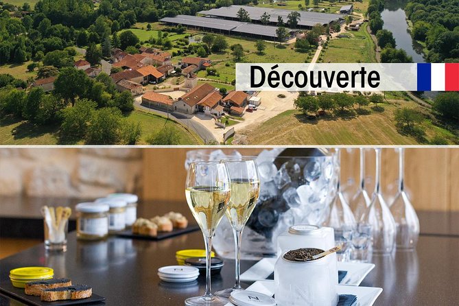 Sturgeon Fish-Farm Visit and Caviar Discovery Tasting in Neuvic - Key highlights worth your time