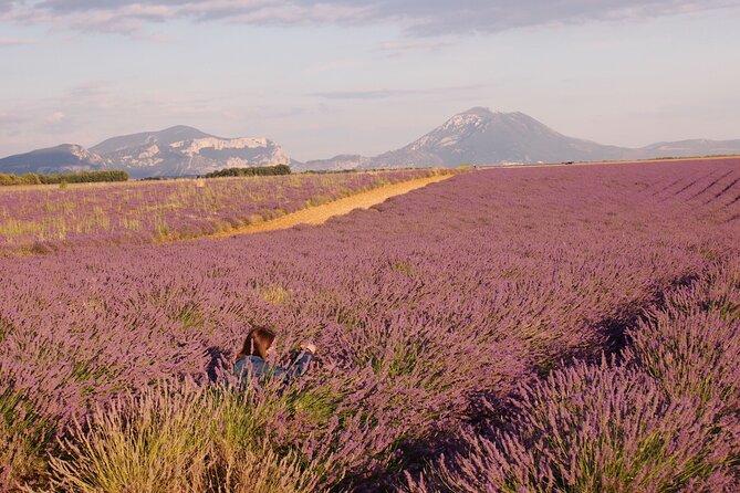 Sunset Lavender Tour in Valensole with pickup from Marseille - Marseille pickup and timing: the difference between a tour and a mission