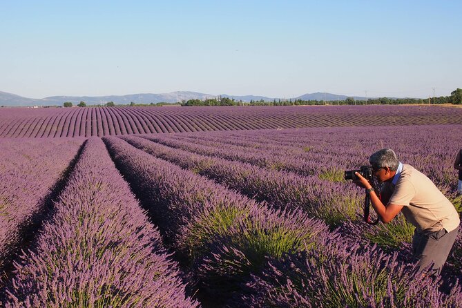 Sunset Lavender Tour in Valensole with pickup from Marseille - Comfort and transport: the AC, the vehicle, and the pace