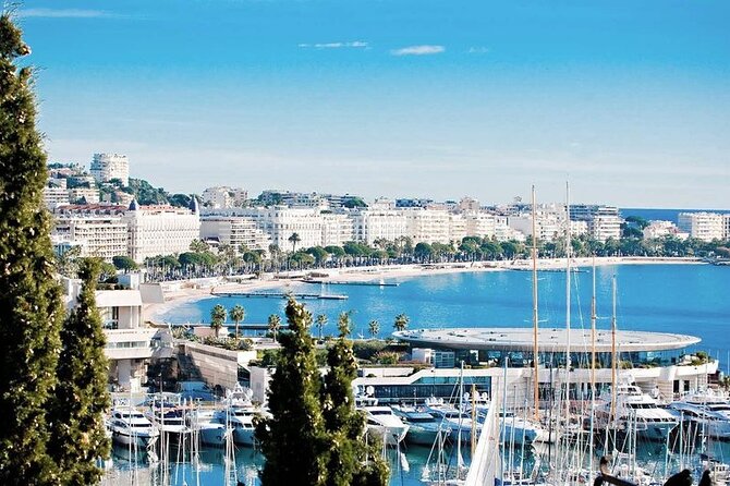 The Best of the French Riviera Small group Guided Tour from Nice - Monaco: old town sights plus Formula 1 circuit energy