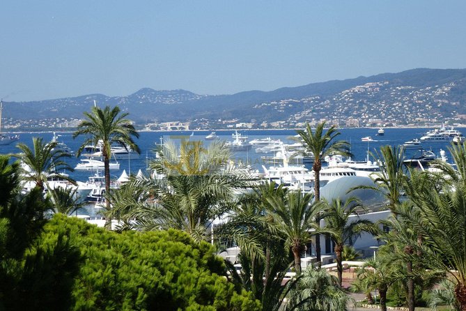 The Best of the French Riviera Small group Guided Tour from Nice - Monte-Carlo’s free time: decide how glamorous you want it
