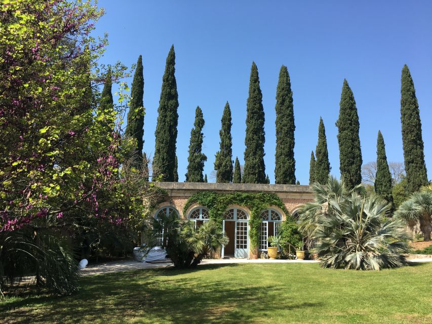 The Châteaux of Grès de Montpellier & Wine Tasting - Key highlights you will feel fast