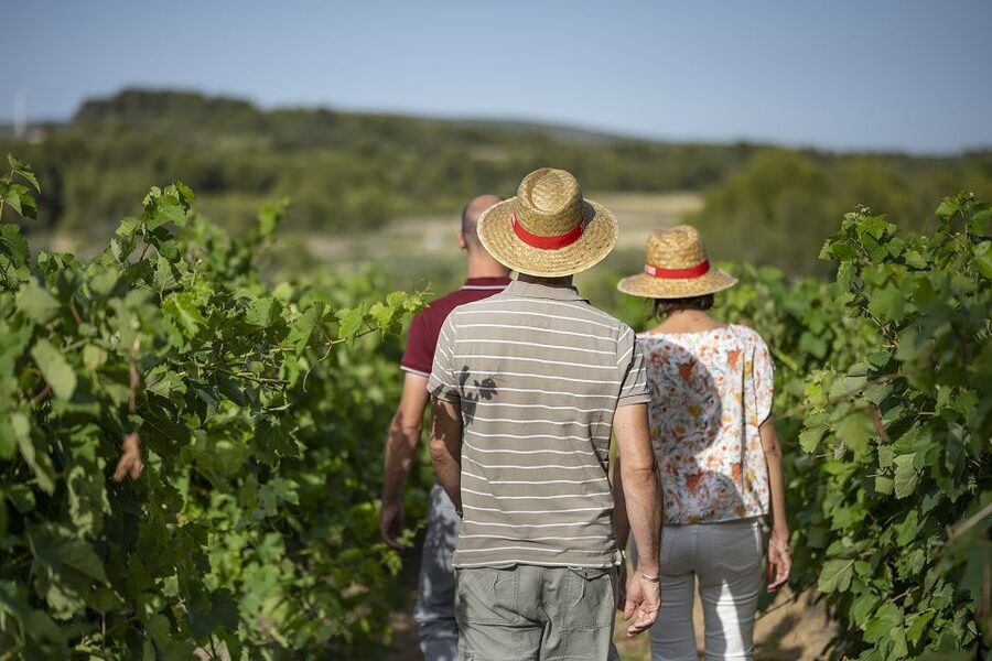 The Châteaux of Grès de Montpellier & Wine Tasting - Saint-Drézéry stop: a guided break that keeps the afternoon moving