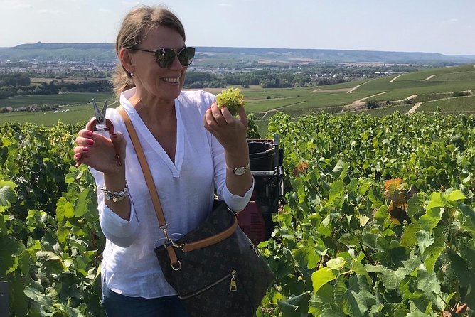 The Connoisseurs from Epernay (Private Half day Champagne Tour) - Guides, pacing, and what to expect from the human factor