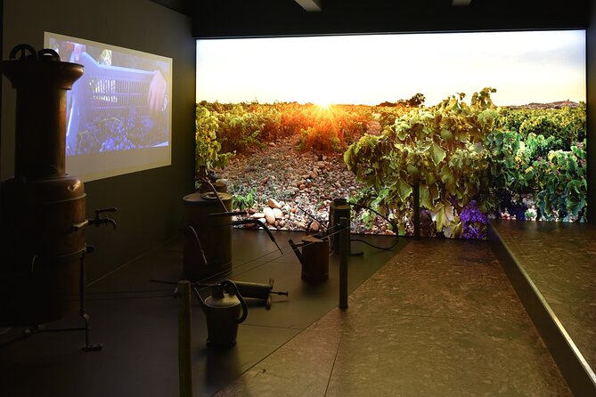 The discovery trail at Maison Brotte - Language, tempo, and who this suits best
