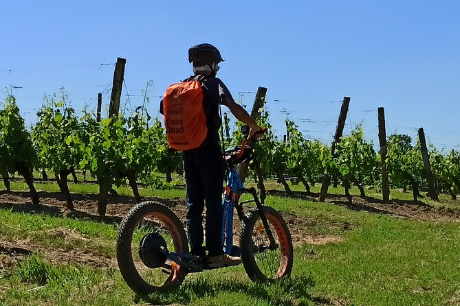 The greedy Rando Trotter of Theo - Off-Road E-Scooters in the Pays de Bergerac, What You Actually Do