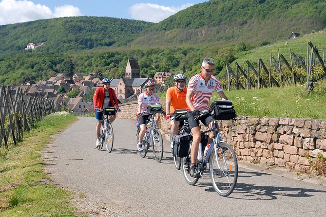 Through Alsace Vineyards and Wine Villages Private Bike Tour - Key highlights worth your attention
