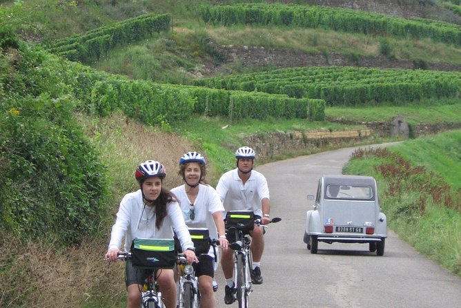 Through Alsace Vineyards and Wine Villages Private Bike Tour - Why a private bike tour fits Alsace better than a bus ride