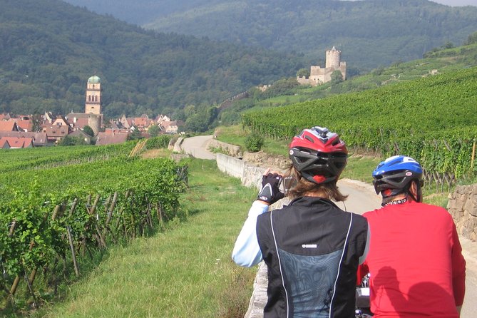 Through Alsace Vineyards and Wine Villages Private Bike Tour - The quick guided loop of Eguisheim: medieval lanes without a marathon
