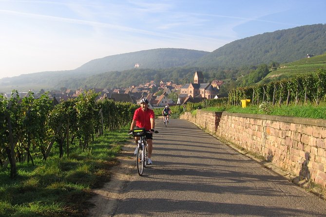 Through Alsace Vineyards and Wine Villages Private Bike Tour - The mystery of the cathedral tower question