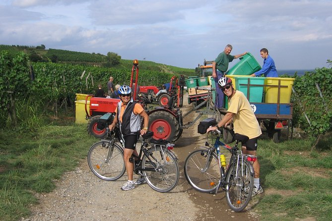 Through Alsace Vineyards and Wine Villages Private Bike Tour - Grand Cru vineyards and wine villages: what the ride teaches you