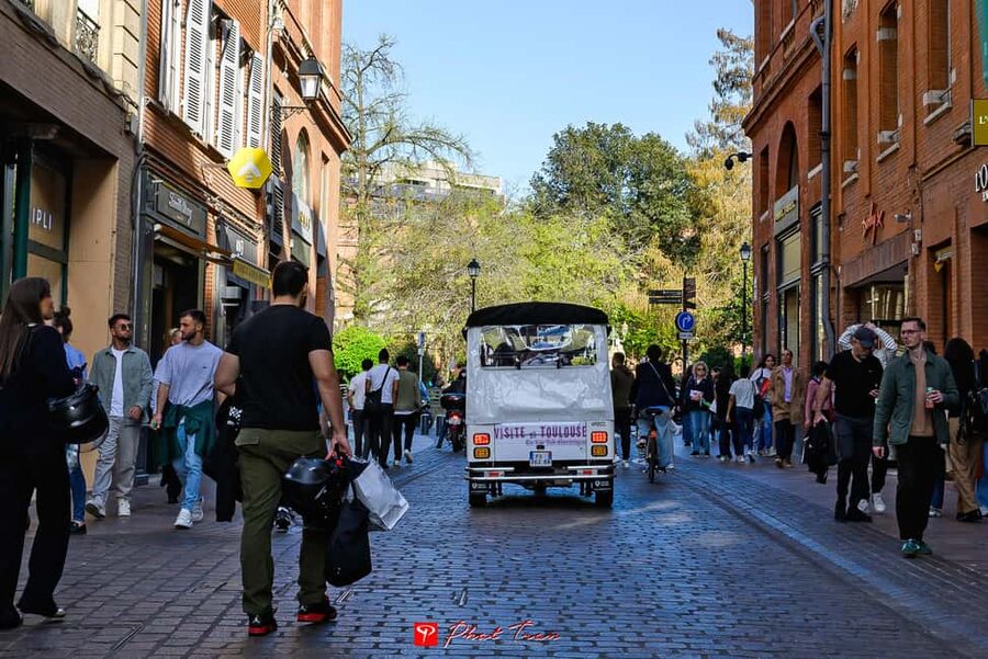 Toulouse: Electric Tuk-Tuk Tour with Photo Stops and Audio - Carmes, Jardin Japonais, and Jardin des Plantes: Green Stops That Add Balance